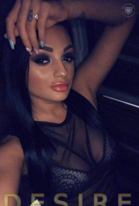 Hammel Escort Model